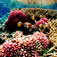 Illustration for article titled Earth's Oceans Could Look Completely Different by the End of the Century
